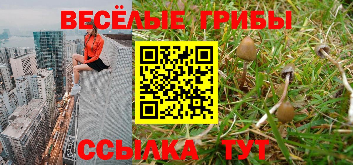 Галлюциногенные грибы мухоморы  Вход с VPN  Узловая  Галлюциногенные грибы MAGIC MUSHROOMS 