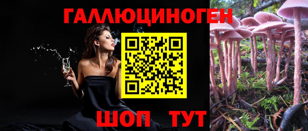Псилоцибиновые грибы мухоморы Узловая